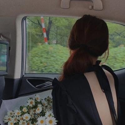 第五区的女人